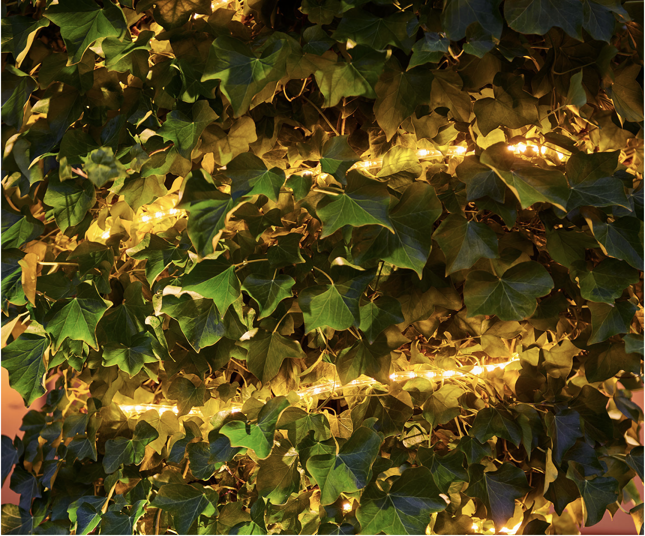 Tech-Line Reblys Startsæt 144 LED, 4 m - Billede 2